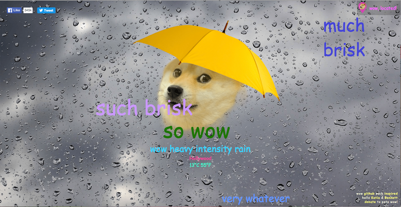 Illustration for article titled It's Raining Cats and Doges!